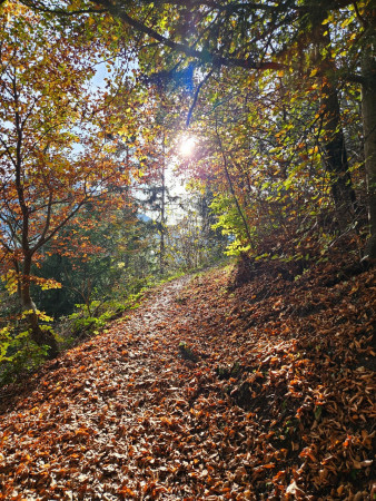 Karl-Trautner-Weg